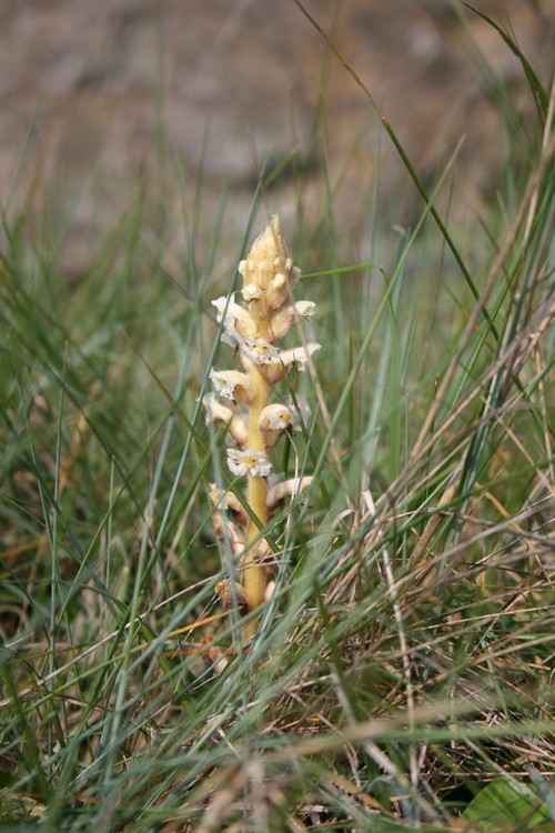 Photo2.jpg