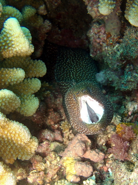 IMG_23361.jpg