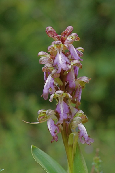 DSC03441-lr.jpg