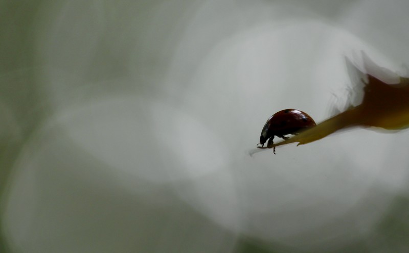 _MG_2300.JPG