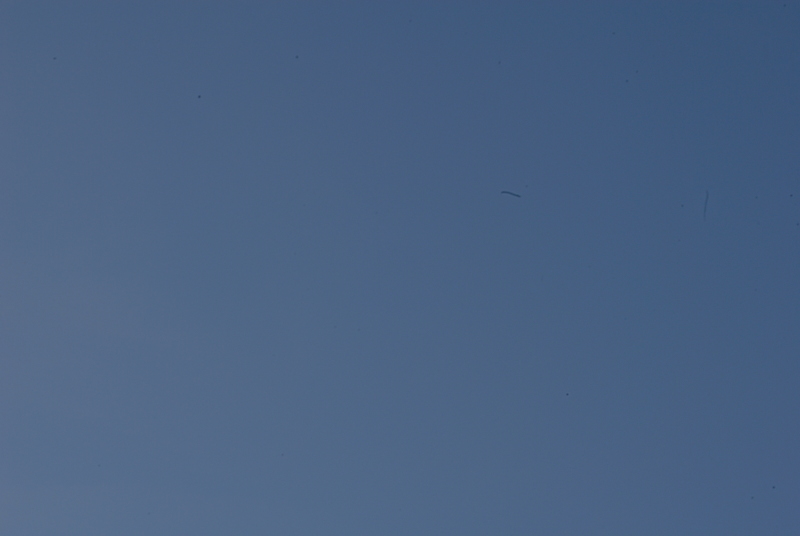 photo.jpg