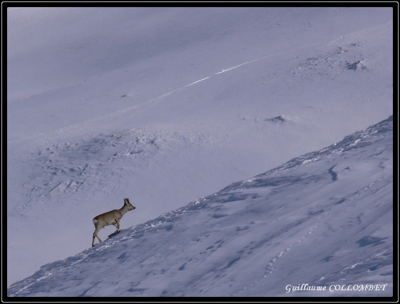 immensitÃ© blanche.jpg