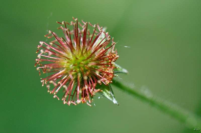 DSC_2823-web.jpg
