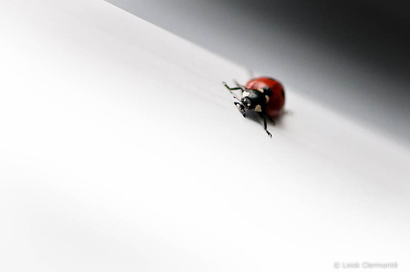 5800082201_a9b40f3422_b.jpg