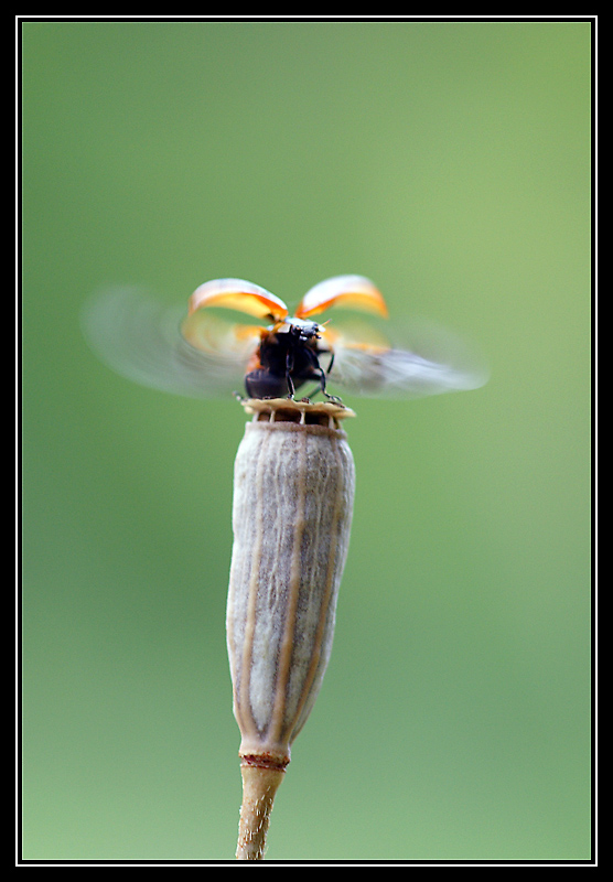 DSC04158-lr1_2.jpg
