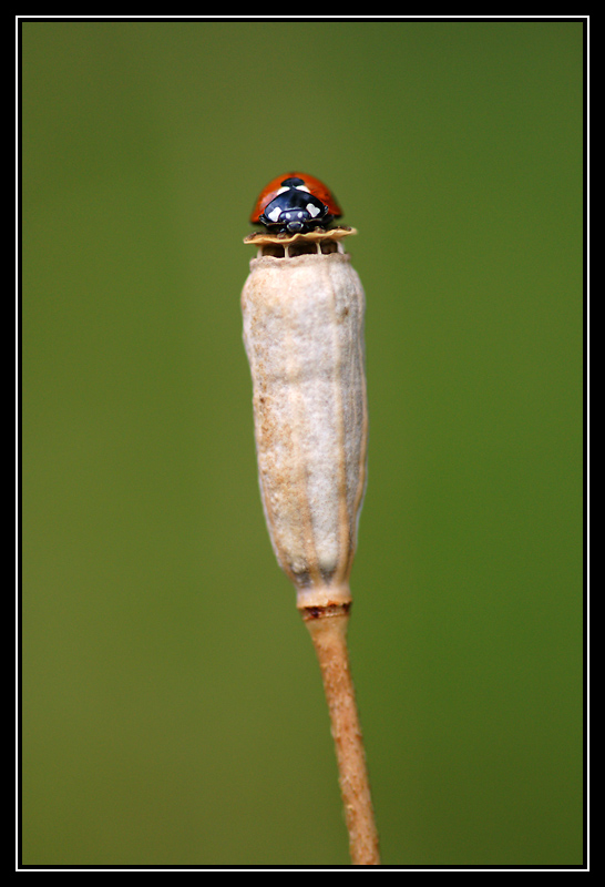 DSC04127-lr.jpg