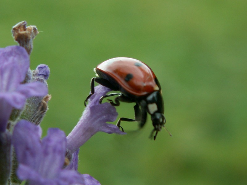 PICT0391.JPG
