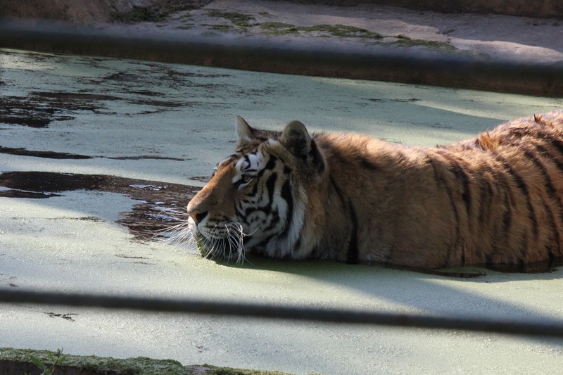 IMG_1620800X600.jpg