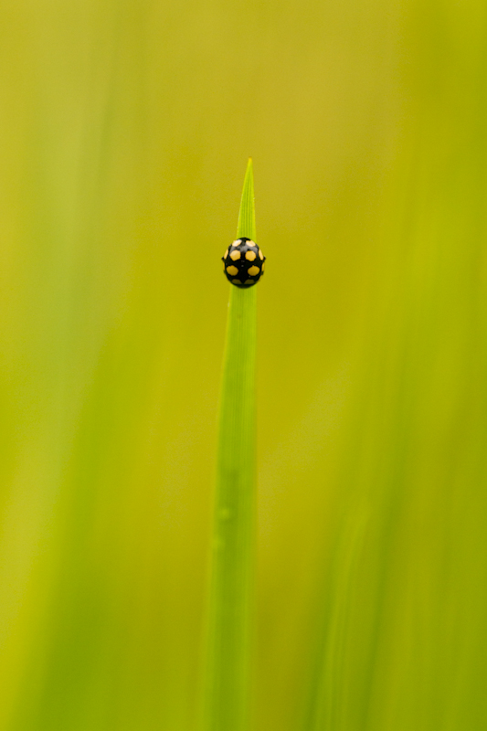 img 007.jpg