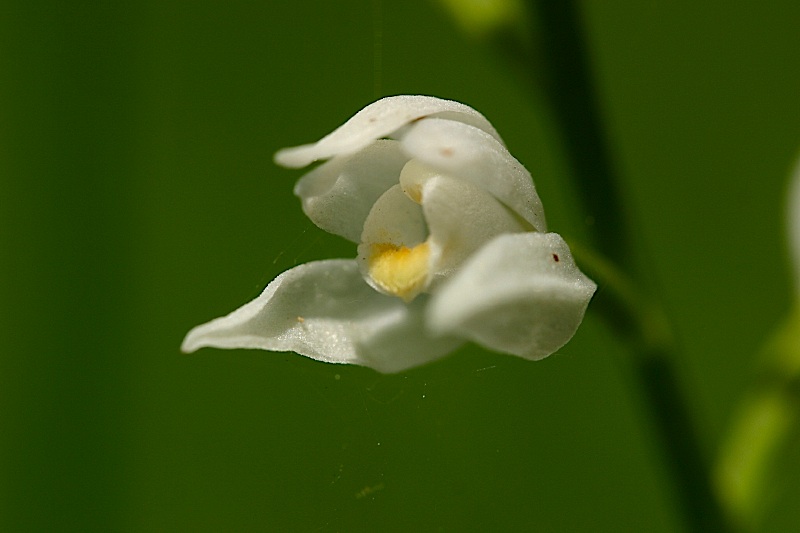 P1.jpg