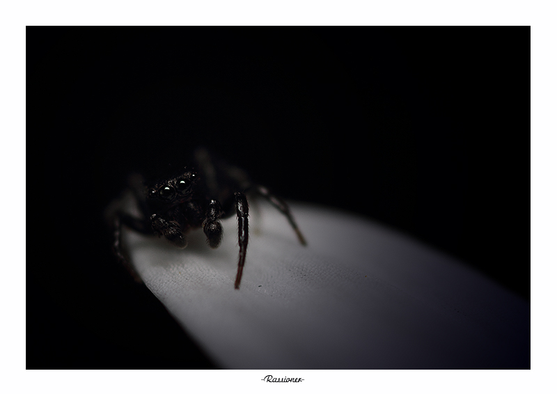 BlackMicMac.800px.Rassioner.jpg
