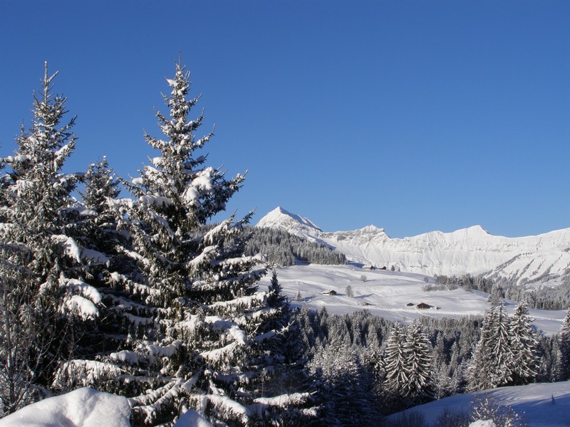 Image et nature 1.JPG
