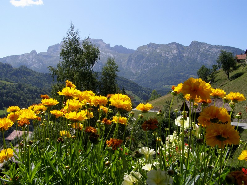 Image et nature 3.JPG
