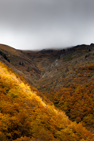 IMG_2471-2.jpg