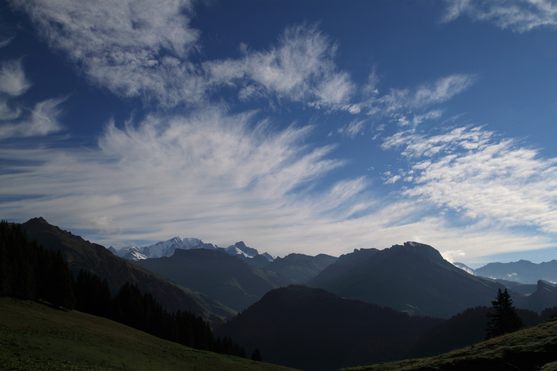 20100913223828-cbd334ca.jpg
