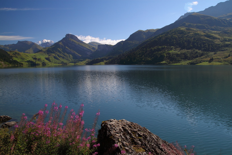 20100913223842-a1c40cd9.jpg