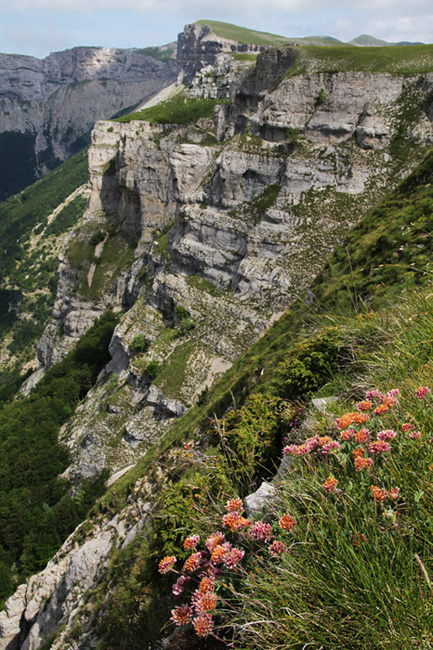 Image 3.jpg