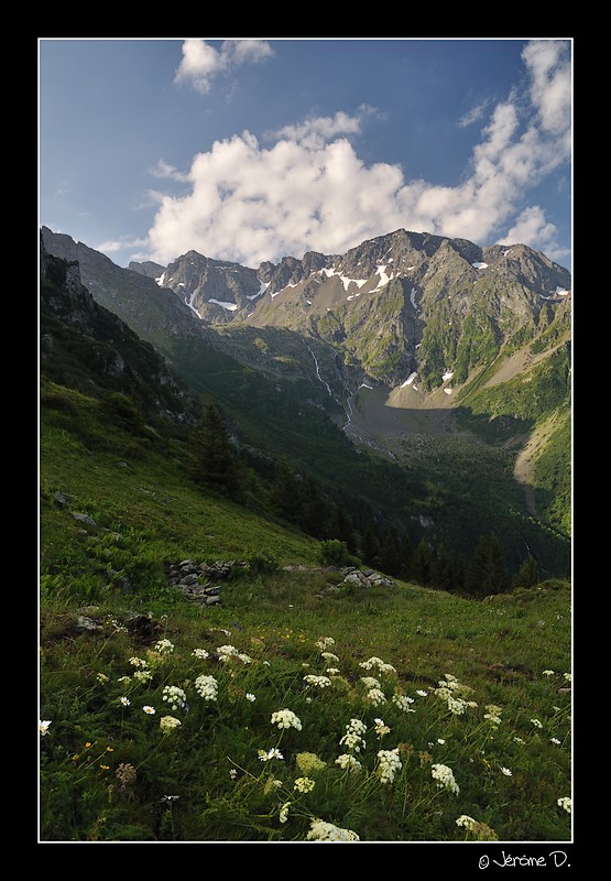 DSC_0125.jpg