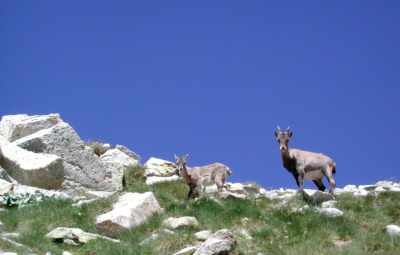 DSCN0167web.jpg