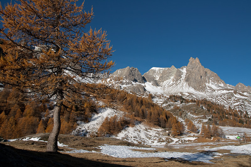 IMG_4872.jpg