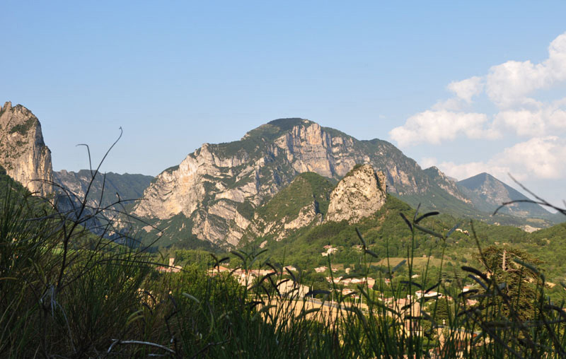 DSC_2821.jpg