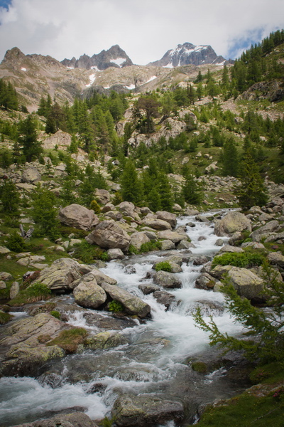 IMG_4590.jpg
