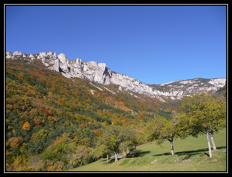 P1040163-lr1.jpg