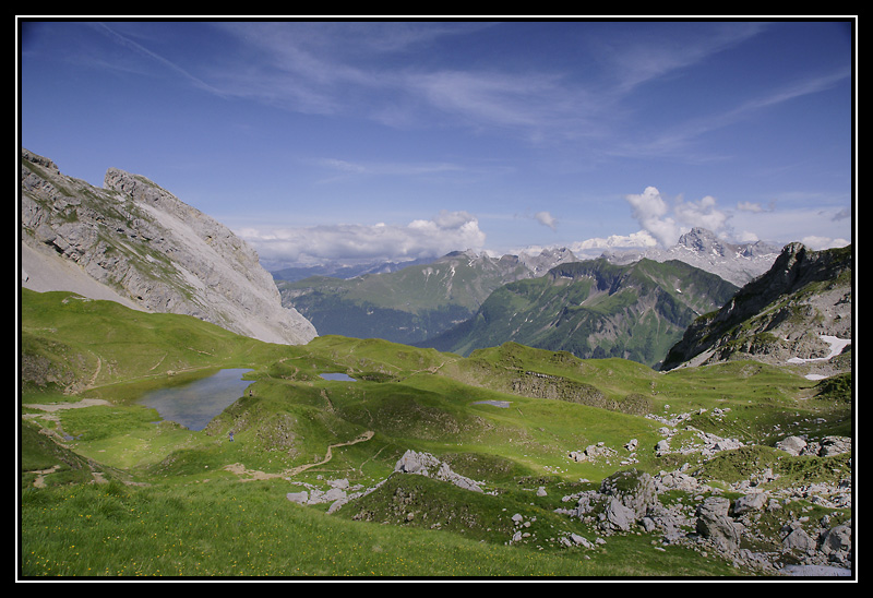 DSC1209-lr1.jpg