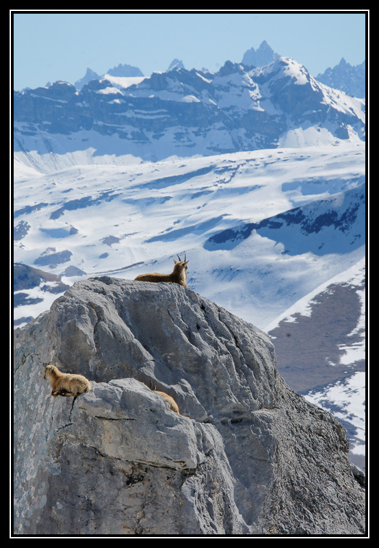 DSC08936-lr1.jpg