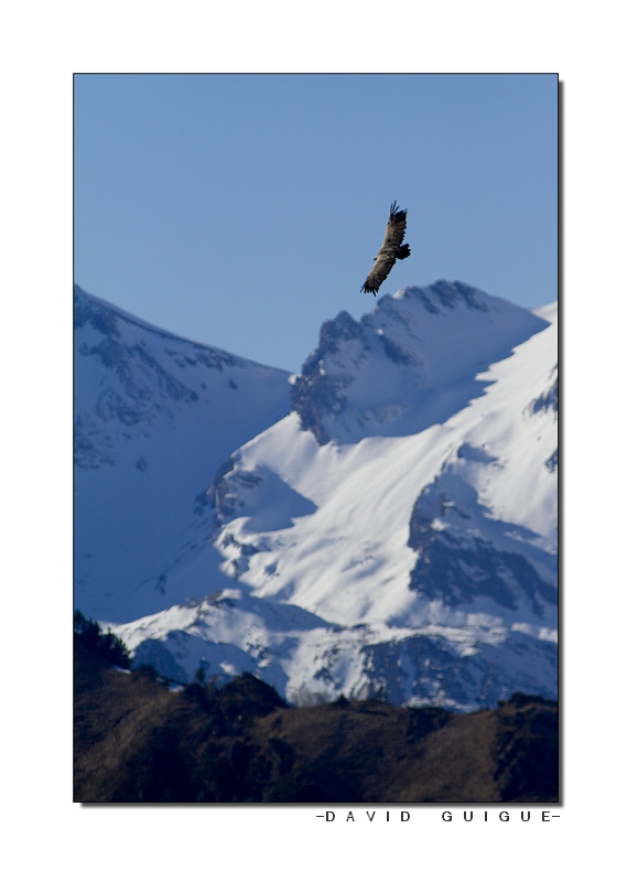 20110125 Rando st Lary_93.JPG