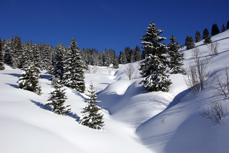 image nature 002.jpg