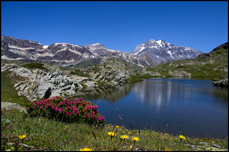 Lac de Bellecombe et Grande Casse.jpg