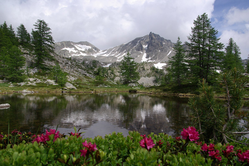image nature 001.jpg