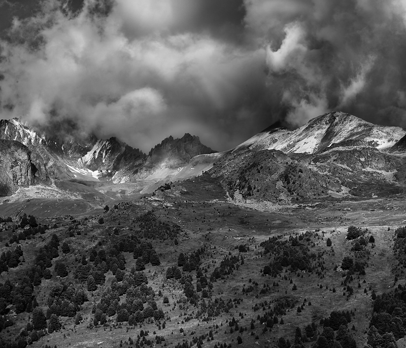 parachee-bw.jpg