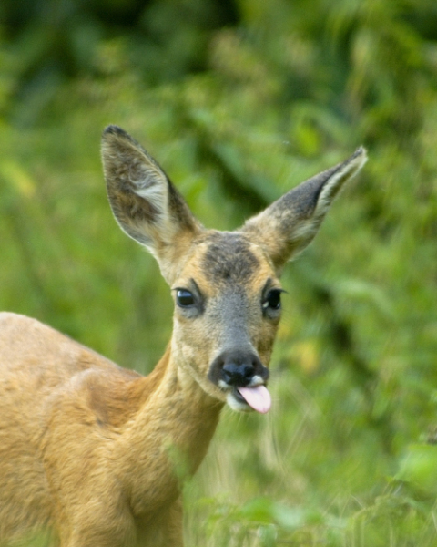 _DSC49620001int.JPG
