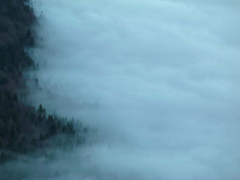 Jura - Pierre TILLIER 2010.JPG