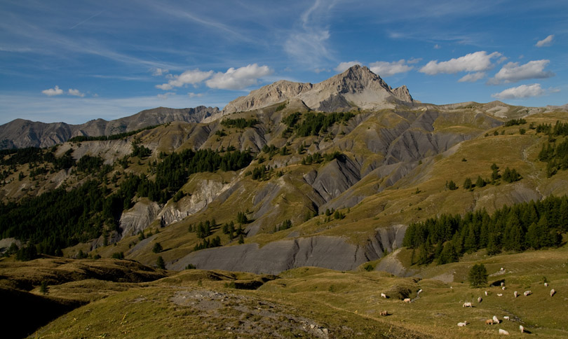 IMAGE_01.jpg