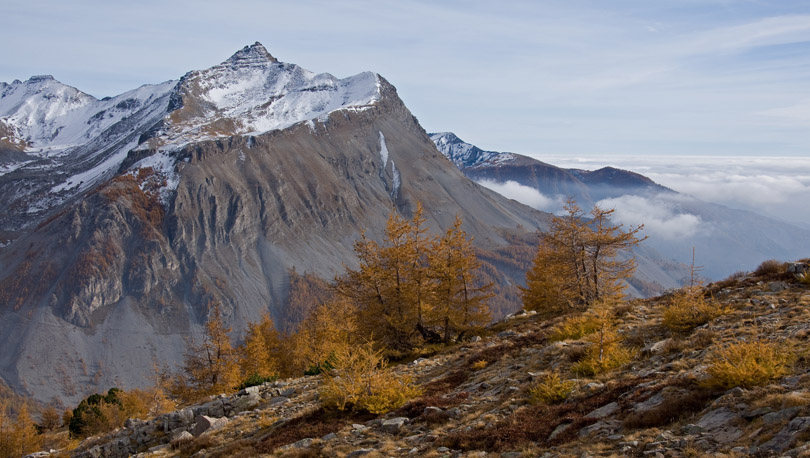 IMAGE_02.jpg