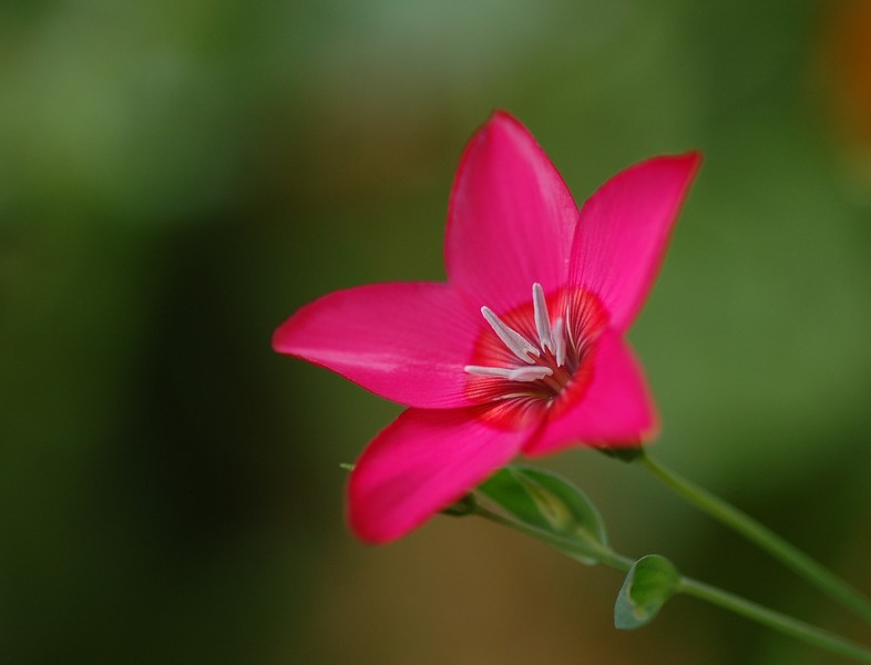 2011-08-03 028.JPG