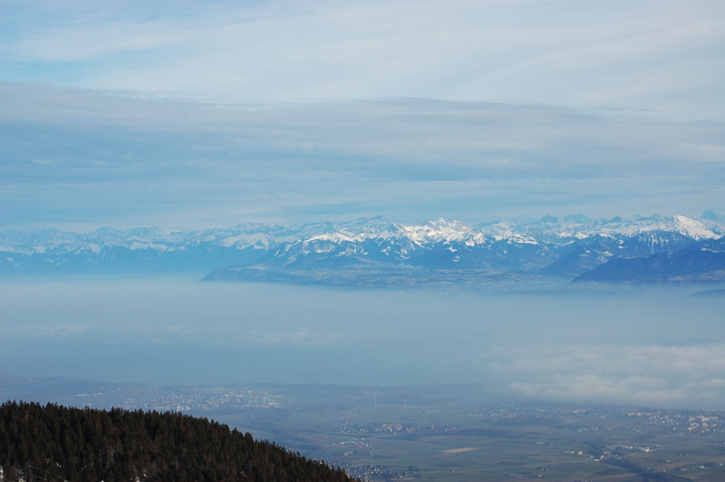 DSC_0059.JPG