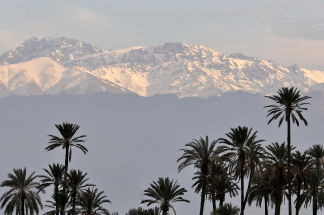 1003-Marrakech Jardins de la Menara-04.JPG