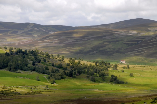 1107-Traversée des Highlands-11.JPG