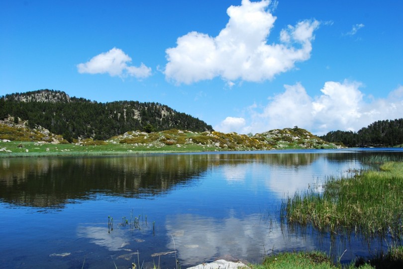 DSC_0116~2.jpg