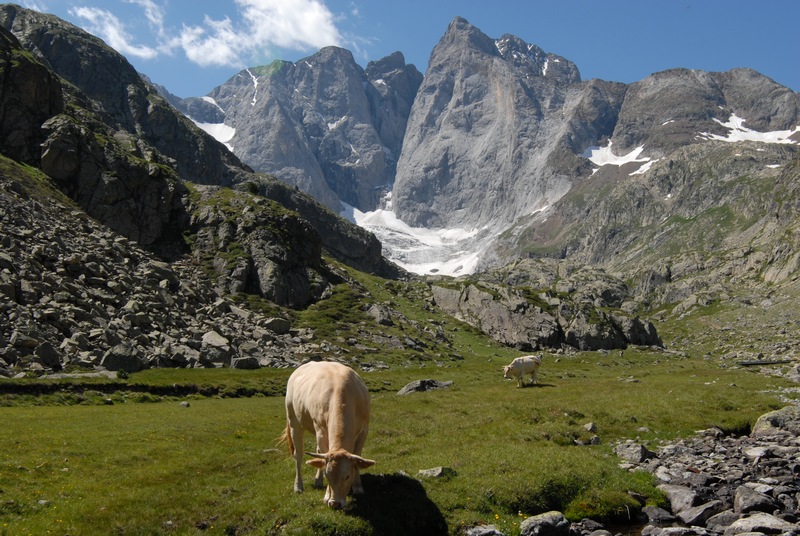 DSC_0327 - Copie.JPG