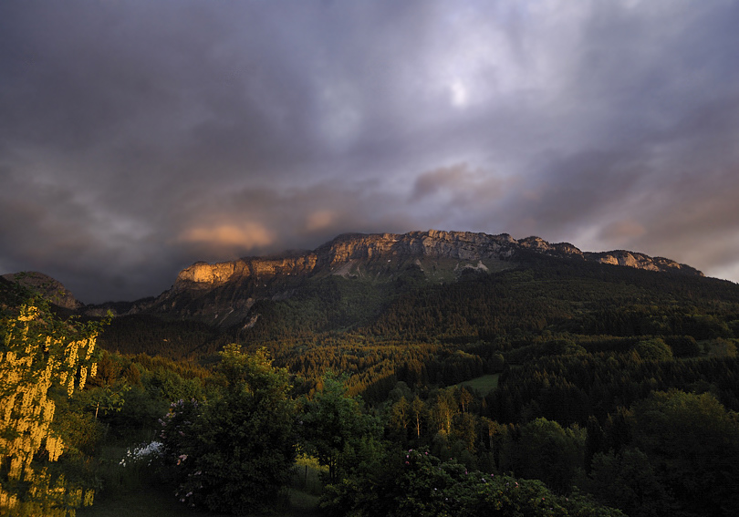 Les-Greniers-VI-2011.jpg