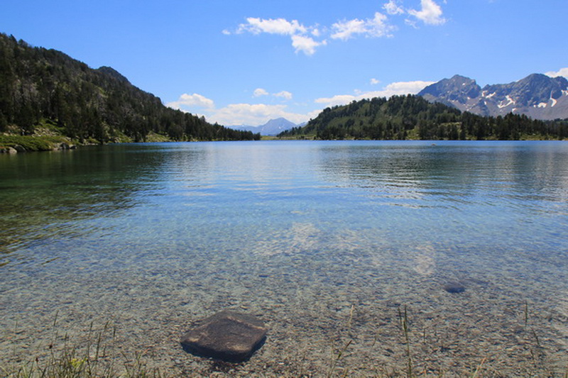 IMG_0371 IN.jpg