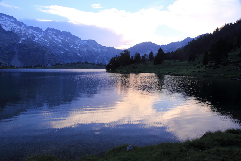 IMG_0504 1 IN.jpg