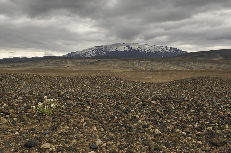 Hekla.jpg