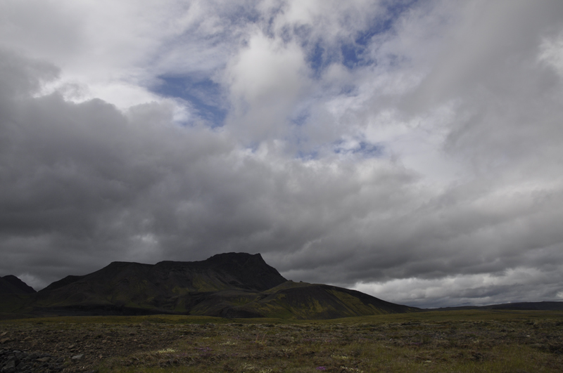 _DSC1036web.jpg