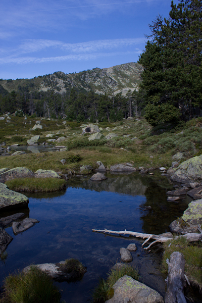 image_nature_holy66_3.jpg